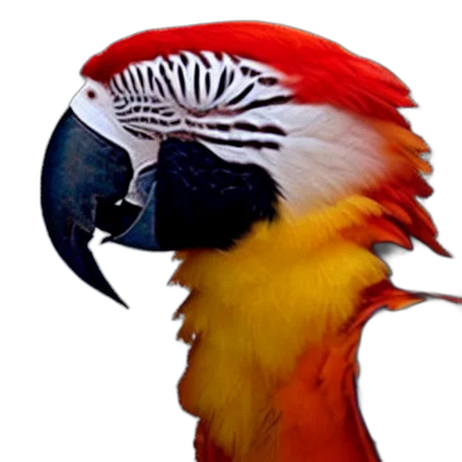 animal, mask, hat, crown transparent PNG cut-out