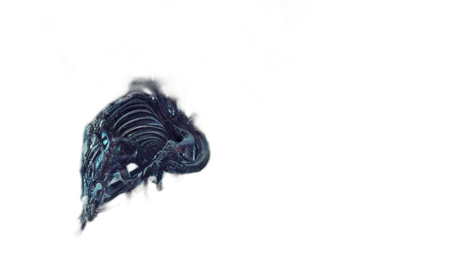creature, dragon, hair, animal transparent PNG cut-out