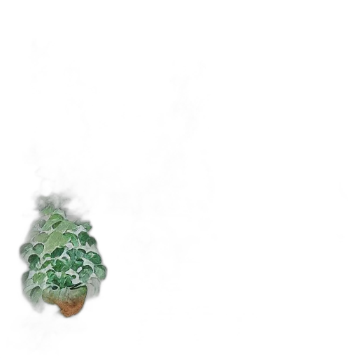 hat, crown, tree, food transparent PNG cut-out