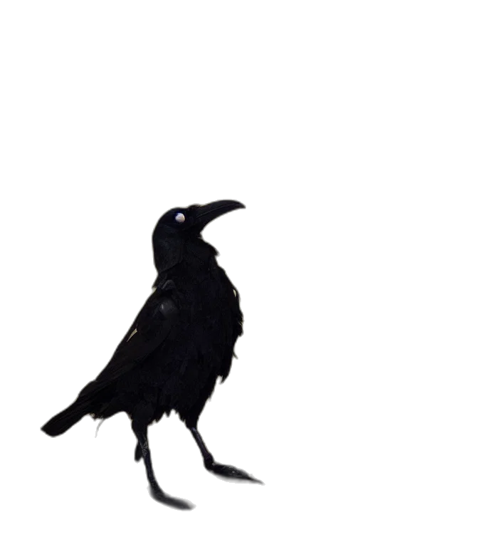 animal, creature, staff, dress transparent PNG cut-out