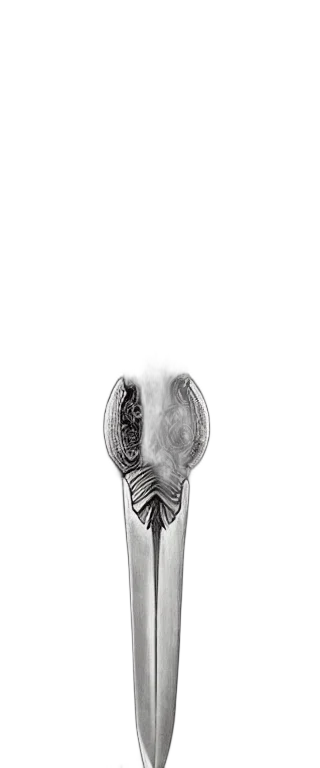 jewelry, shoes, crown, hair transparent PNG cut-out