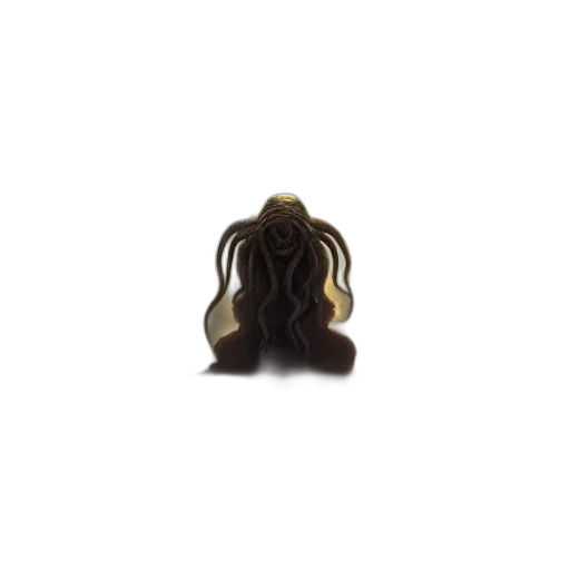 hair, jewelry, crown, staff transparent PNG cut-out