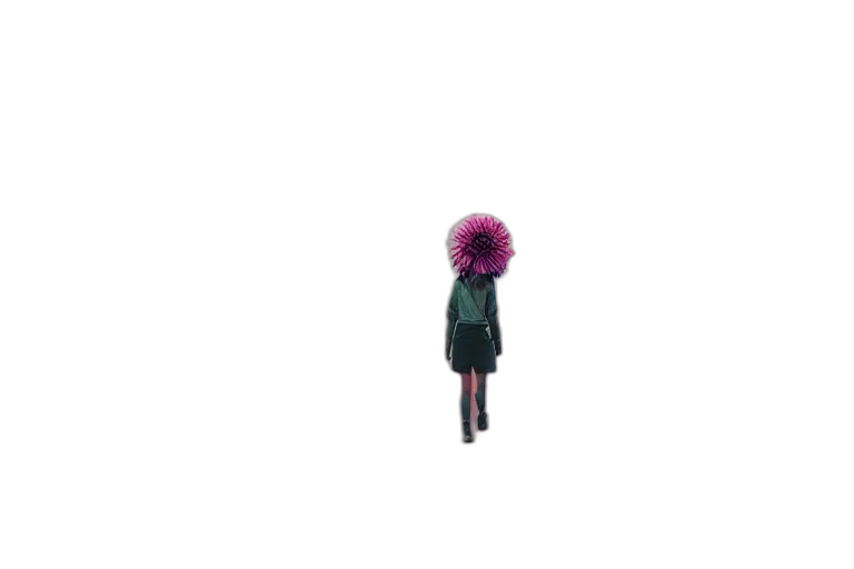 hair, flower, umbrella, hat transparent PNG cut-out