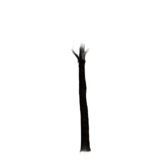 staff, sword, crown, weapon transparent PNG cut-out
