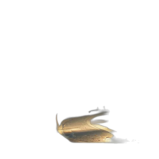 shoes, weapon, jewelry, hair transparent PNG cut-out