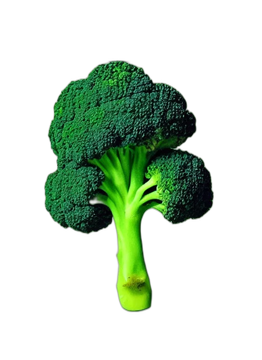 food, weapon, crown, tree transparent PNG cut-out