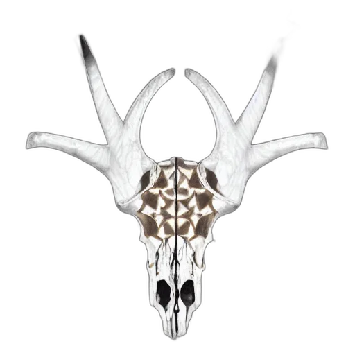 crown, jewelry, mask, animal transparent PNG cut-out
