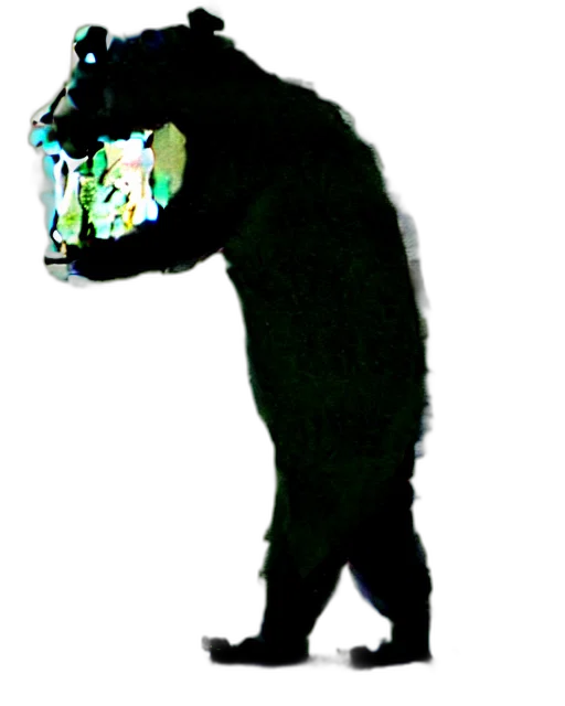 creature, animal, mask, face transparent PNG cut-out