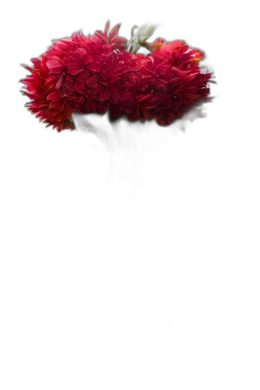 flower, crown, hair, mask transparent PNG cut-out