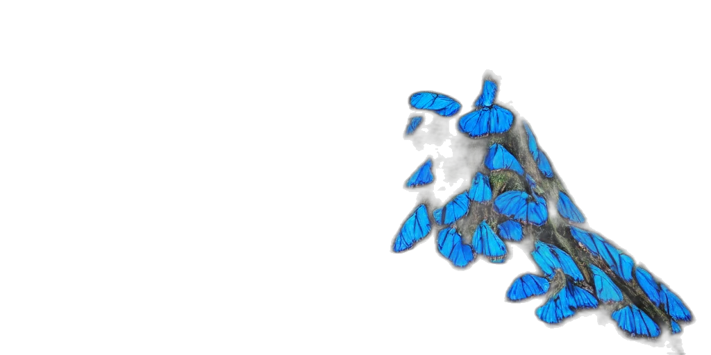flower, crown, umbrella, creature transparent PNG cut-out