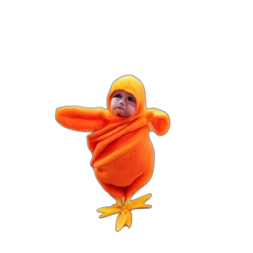 animal, creature, jacket, hat transparent PNG cut-out