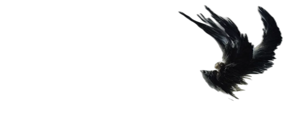 dragon, staff, animal, hair transparent PNG cut-out