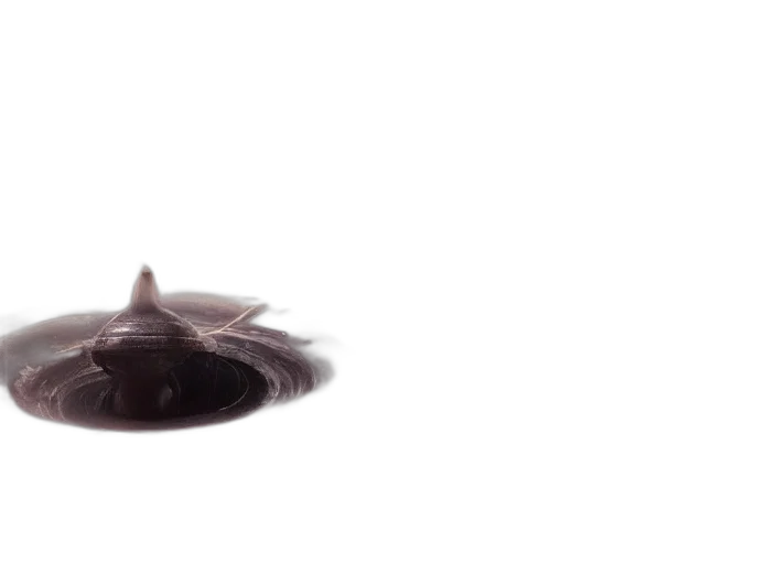 creature, hat, hair, animal transparent PNG cut-out