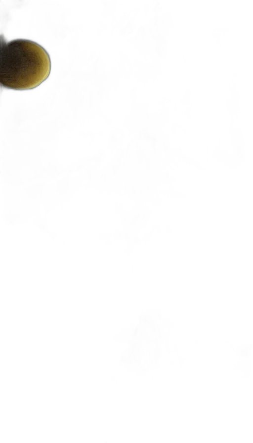 staff, face, dress, sword transparent PNG cut-out
