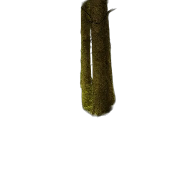 staff, weapon, sword, tree transparent PNG cut-out