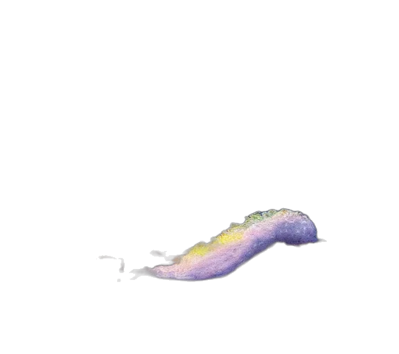 creature, dragon, hair, animal transparent PNG cut-out