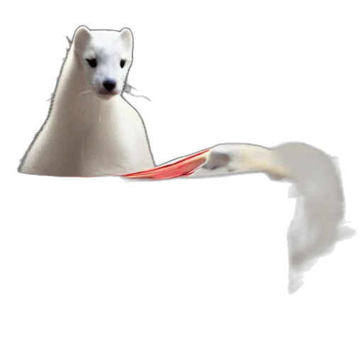 animal, staff, creature, weapon transparent PNG cut-out
