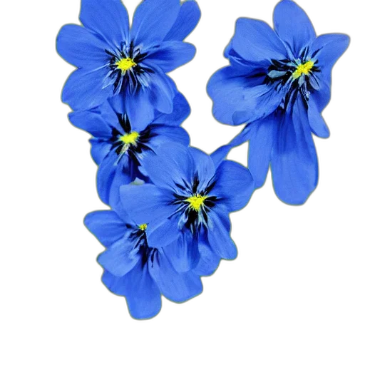 flower, crown, jewelry, staff transparent PNG cut-out