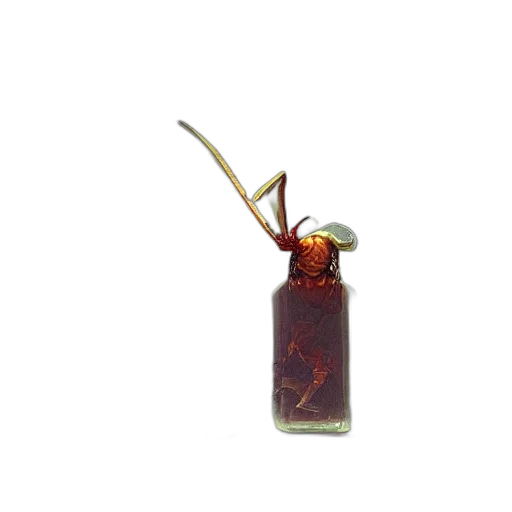 bottle, staff, weapon, food transparent PNG cut-out