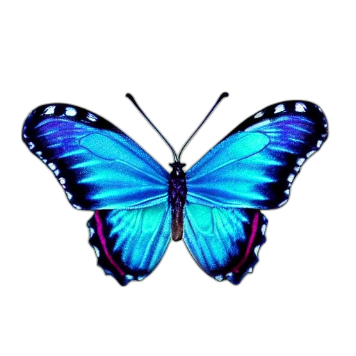 animal, jewelry, creature, flower transparent PNG cut-out