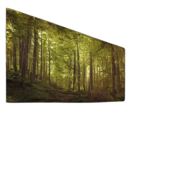 tree, umbrella, sword, hat transparent PNG cut-out