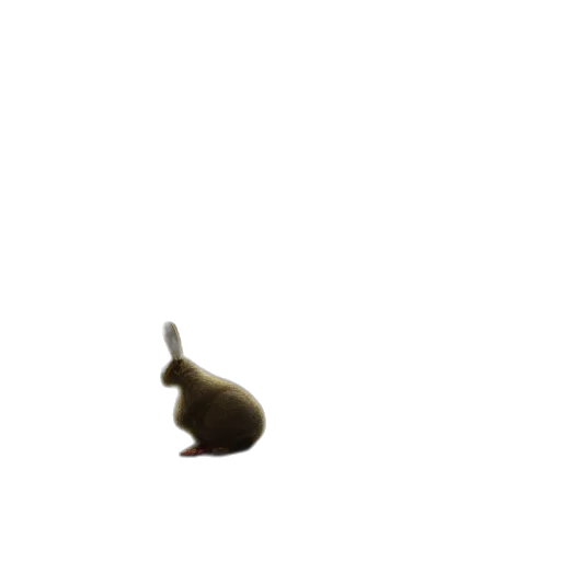 animal, creature, hat, staff transparent PNG cut-out
