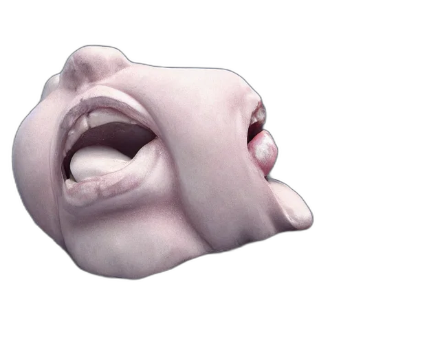 mask, face, creature, animal transparent PNG cut-out