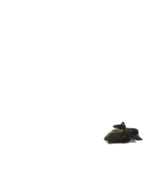 hat, shoes, animal, weapon transparent PNG cut-out