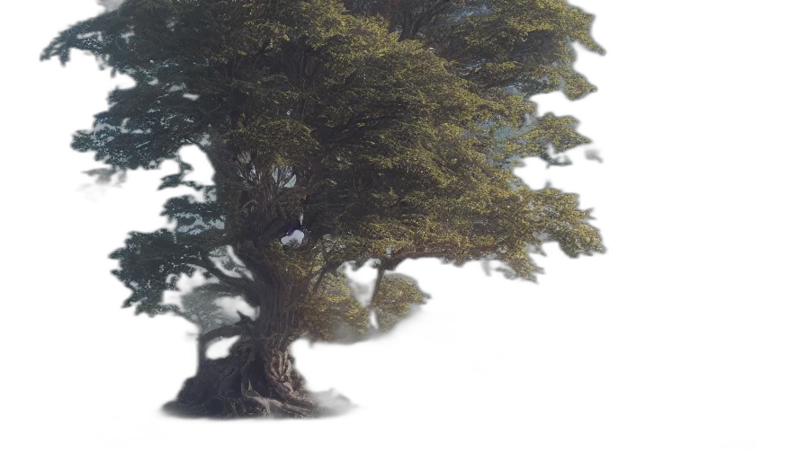 tree, crown, dress, creature transparent PNG cut-out