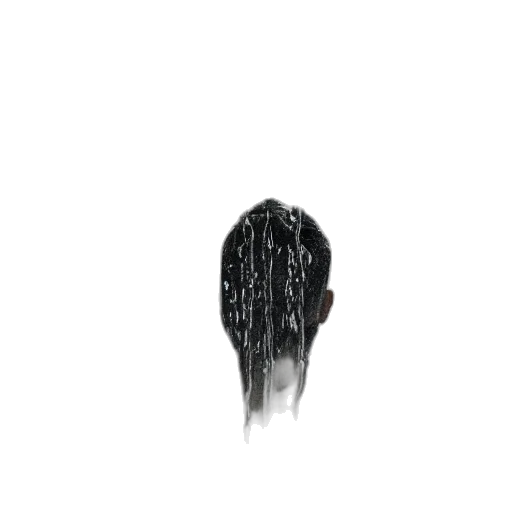 hair, jacket, face, crown transparent PNG cut-out
