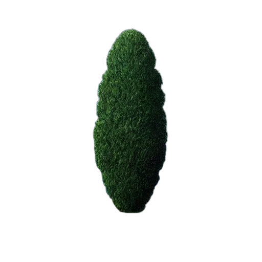 tree, hair, hat, creature transparent PNG cut-out