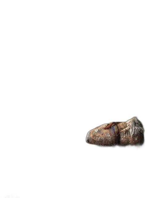 shoes, food, weapon, hat transparent PNG cut-out