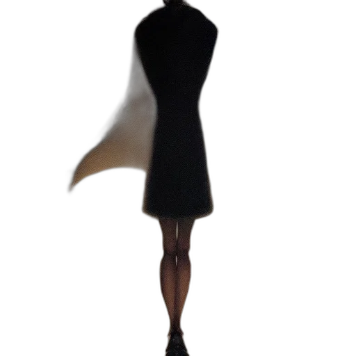 dress, jacket, staff, umbrella transparent PNG cut-out