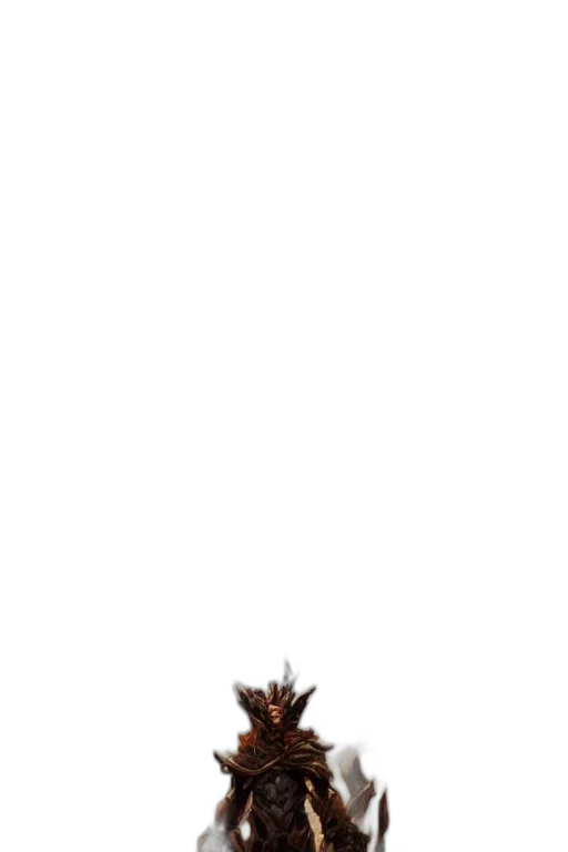 dragon, creature, staff, animal transparent PNG cut-out