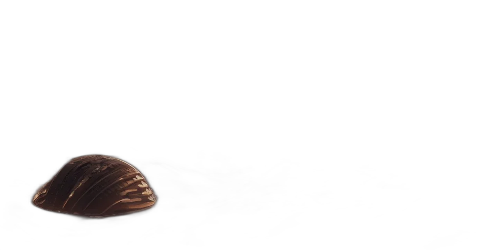 shoes, hat, crown, furniture transparent PNG cut-out