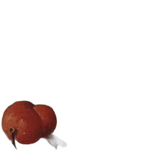 food, animal, creature, crown transparent PNG cut-out