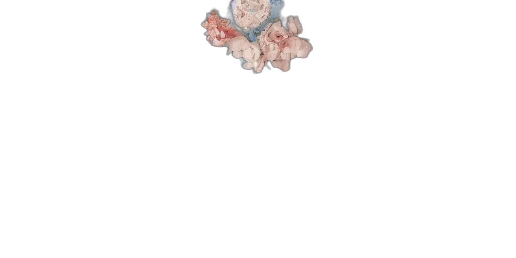 crown, flower, jewelry, food transparent PNG cut-out