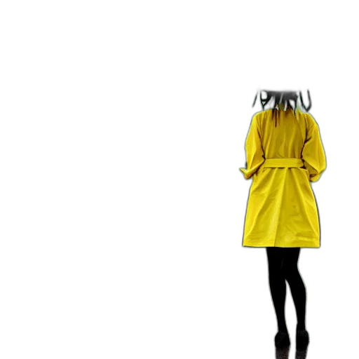 dress, jacket, umbrella, robot transparent PNG cut-out