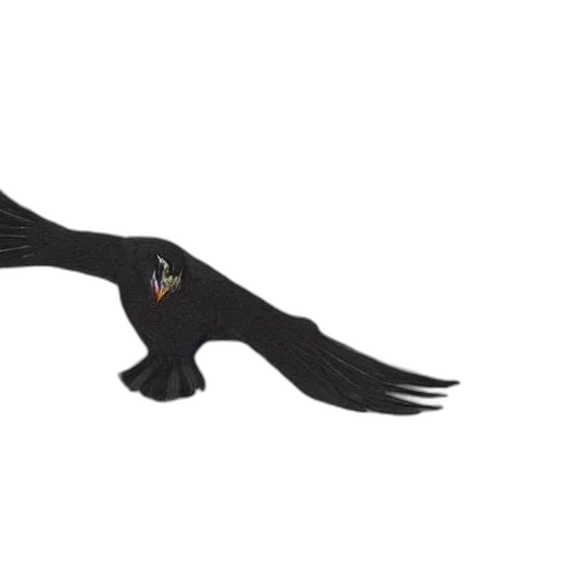 dragon, animal, staff, creature transparent PNG cut-out