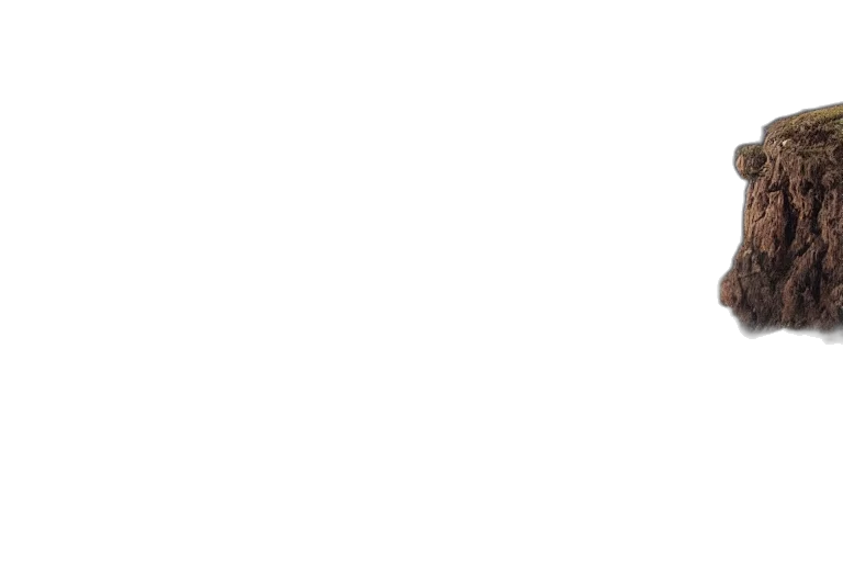 staff, face, monochrome, pastel transparent PNG cut-out