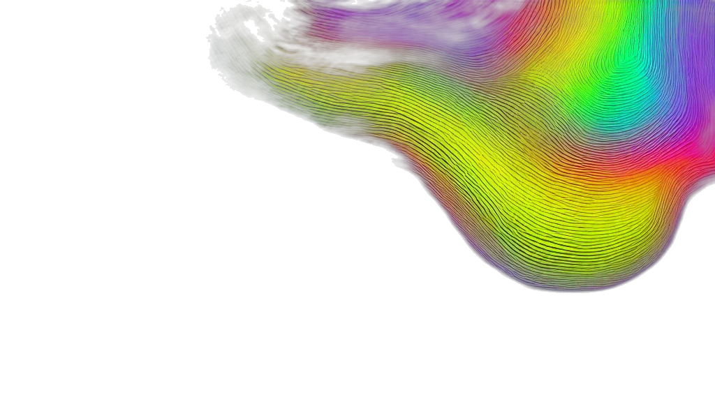 hair, flower, fog, outer space transparent PNG cut-out