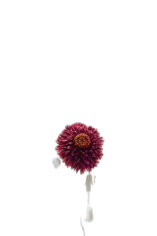 flower, staff, umbrella, hair transparent PNG cut-out