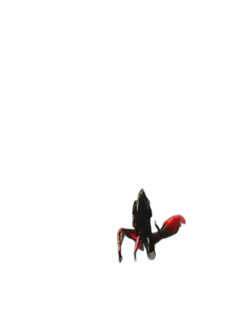 animal, shoes, creature, umbrella transparent PNG cut-out