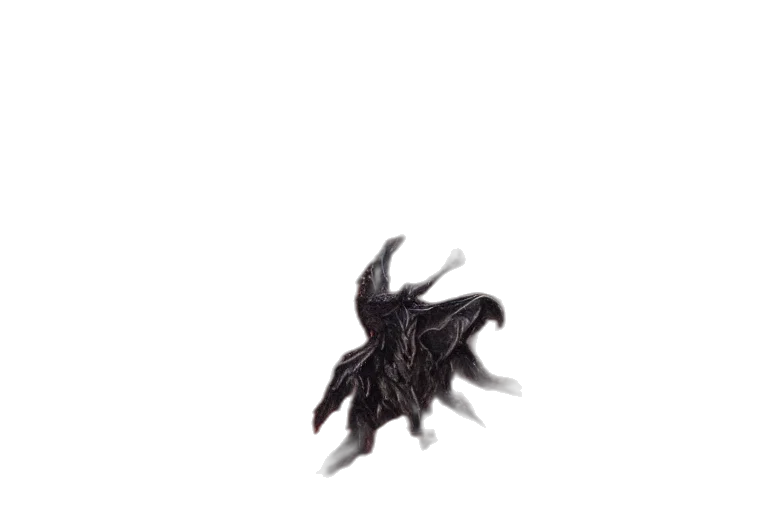 hair, dragon, creature, animal transparent PNG cut-out