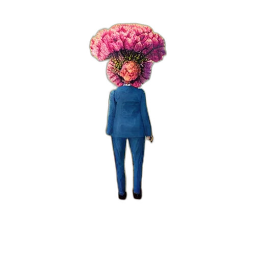 hat, umbrella, flower, jacket transparent PNG cut-out