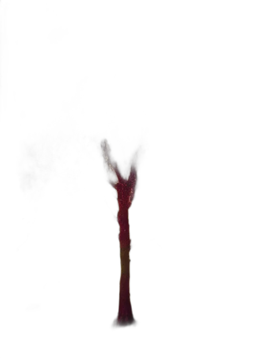 staff, sword, tree, creature transparent PNG cut-out