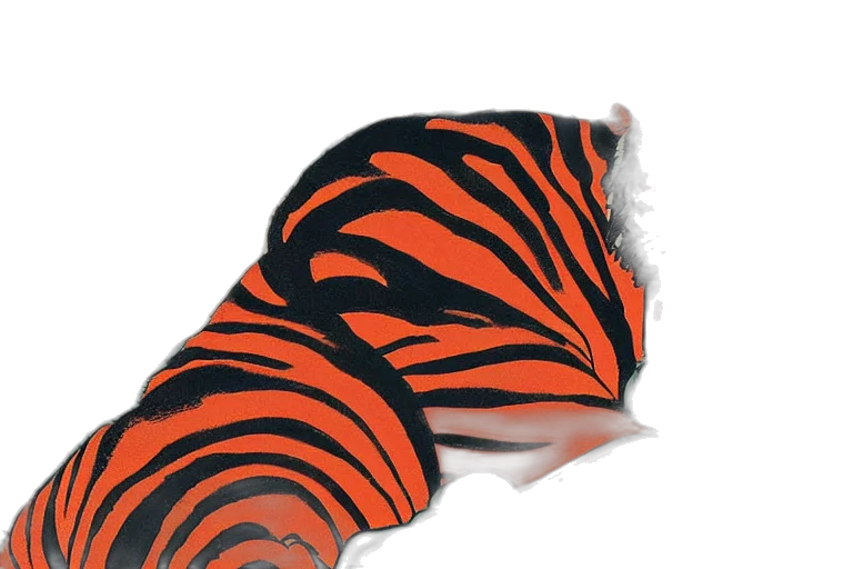 hat, mask, animal, crown transparent PNG cut-out