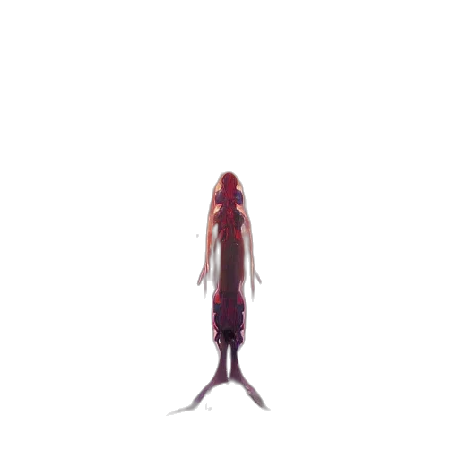 creature, robot, staff, animal transparent PNG cut-out