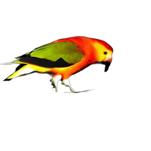 animal, staff, creature, weapon transparent PNG cut-out