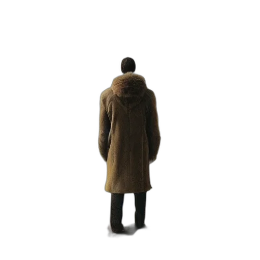 jacket, staff, dress, hat transparent PNG cut-out